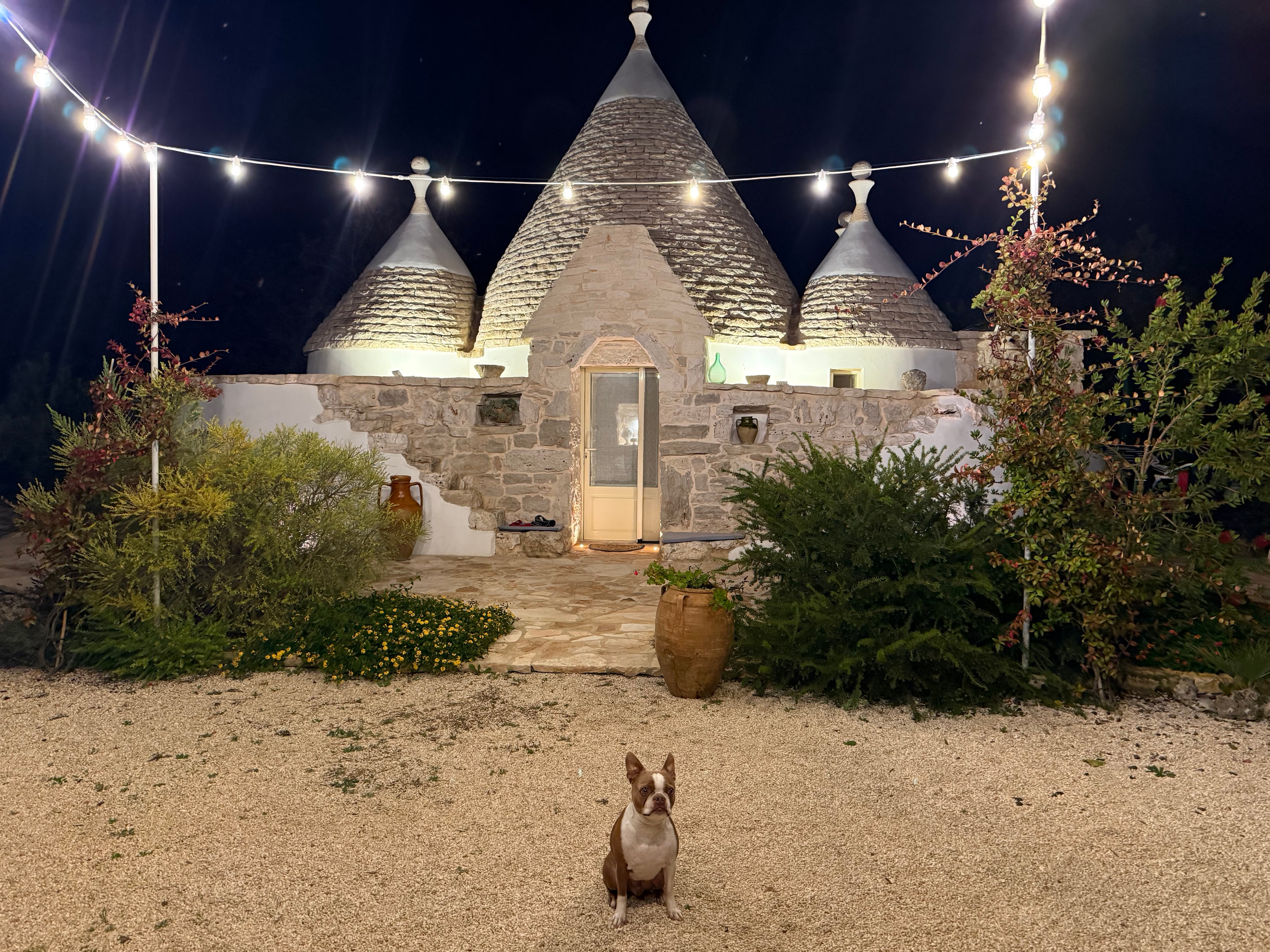 Olli at a lit Italian farmhouse at night