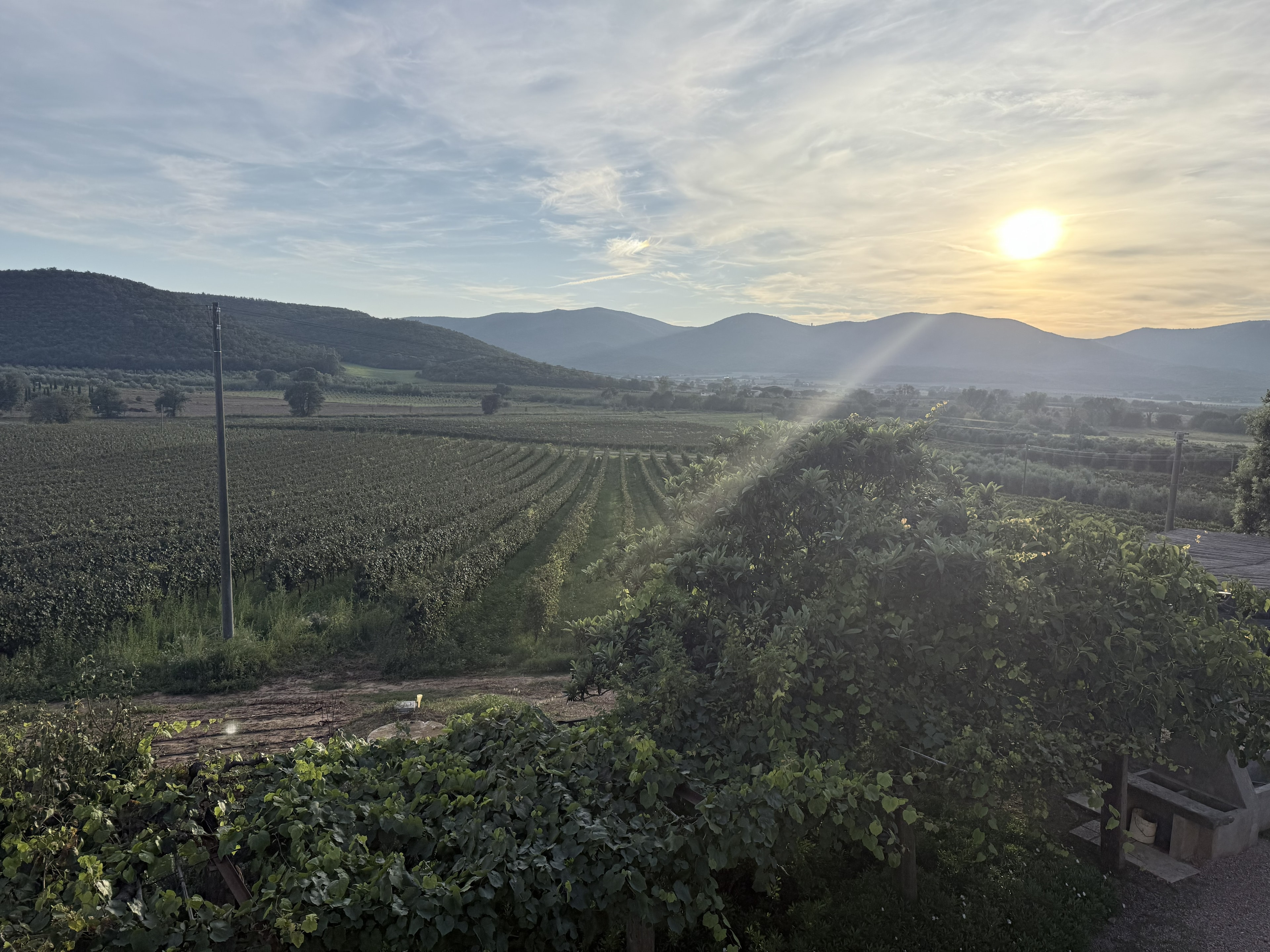 Tuscany, Sinalunga & Wine Tasting in Montepulciano